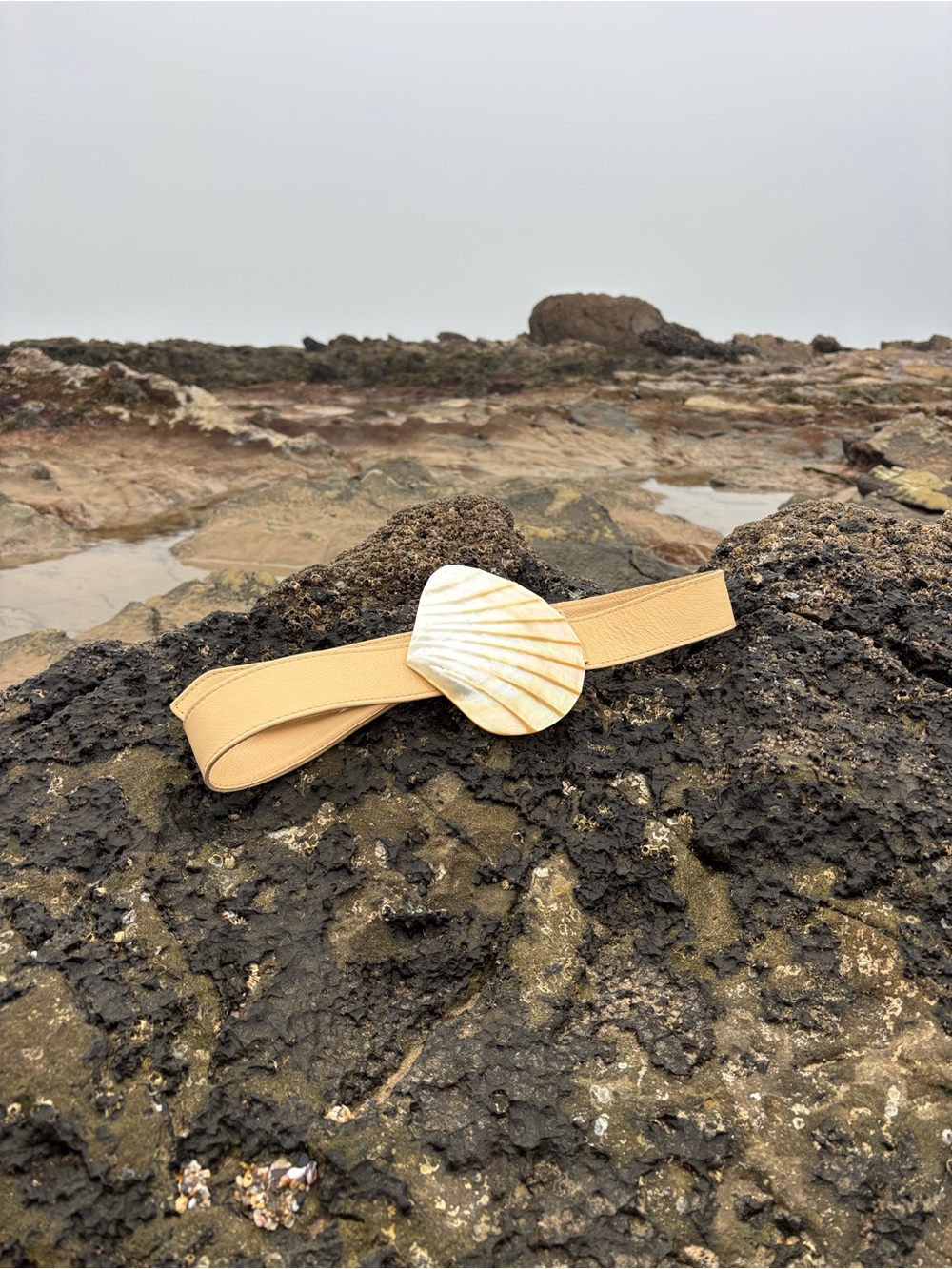 Statement Ocean Shell Belt - Picture 6 of 6